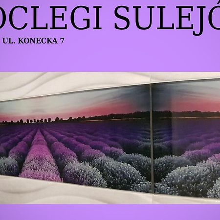 Noclegi Sulejów Exteriör bild